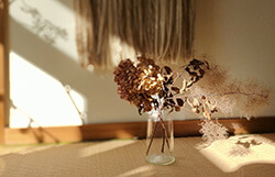 半年前に胆のう結石症と診断。手術をする判断基準は？